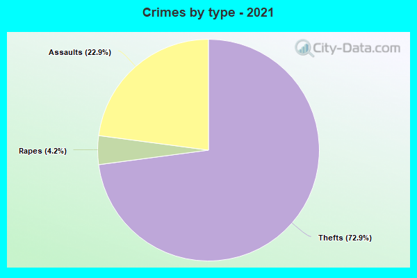 Crimes by type - 2021