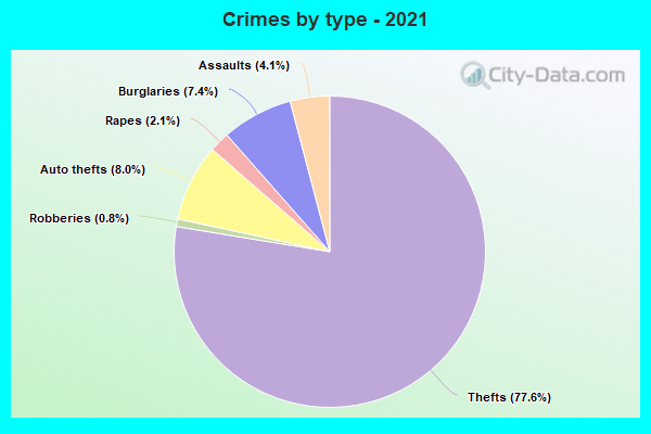 Crimes by type - 2021