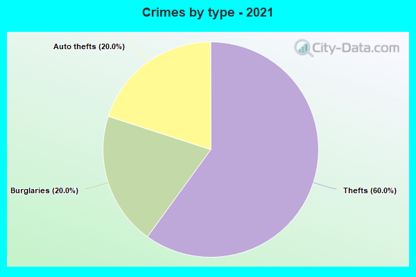 Crimes by type - 2021