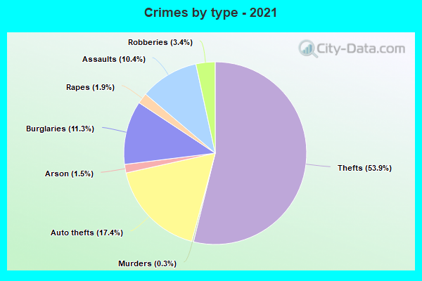 Crimes by type - 2021