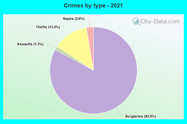 Crimes by type - 2021