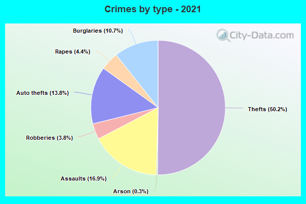 Crimes by type - 2021