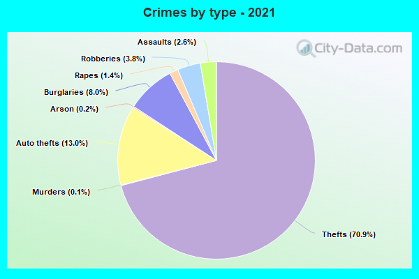 Crimes by type - 2021