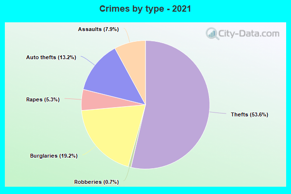 Crimes by type - 2021