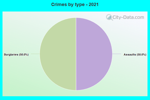 Crimes by type - 2021