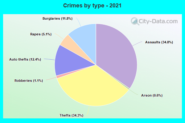 Crimes by type - 2021