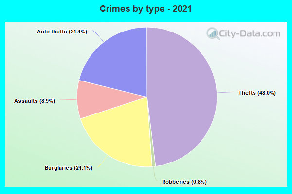 Crimes by type - 2021