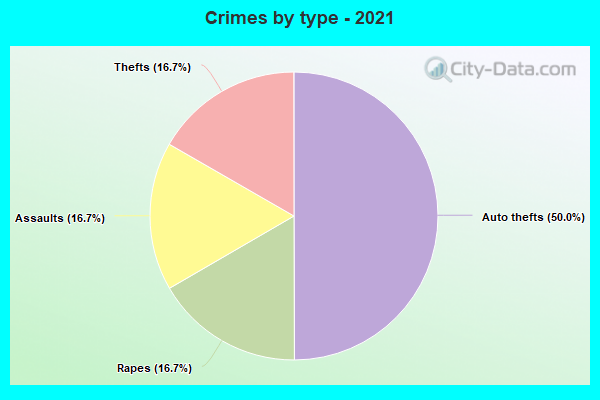 Crimes by type - 2021