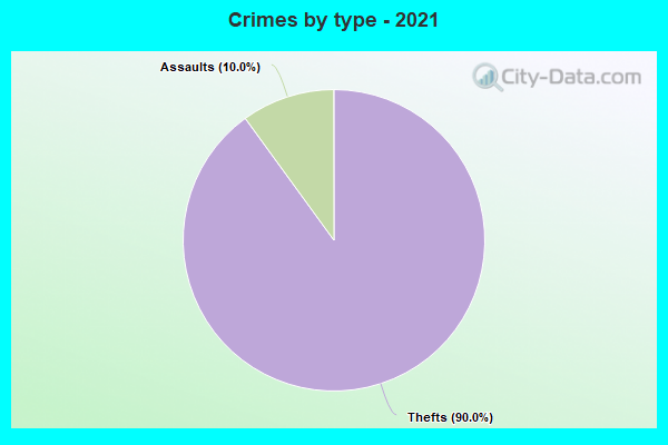 Crimes by type - 2021