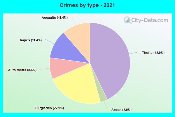 Crimes by type - 2021