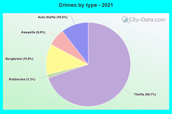 Crimes by type - 2021