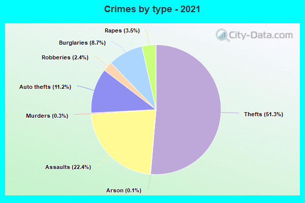 Crimes by type - 2021