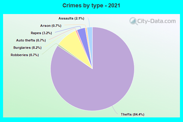 Crimes by type - 2021