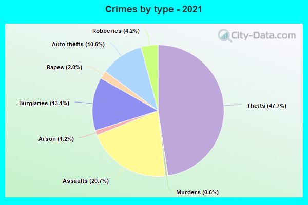 Crimes by type - 2021