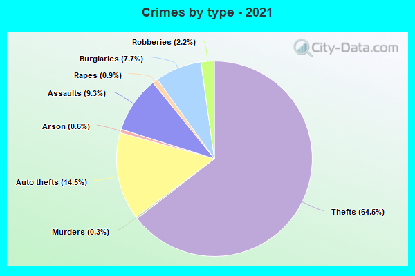 Crimes by type - 2021