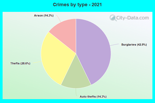 Crimes by type - 2021