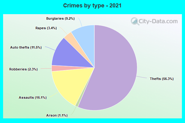 Crimes by type - 2021