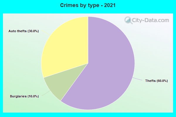 Crimes by type - 2021