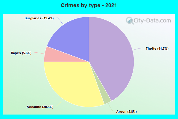 Crimes by type - 2021