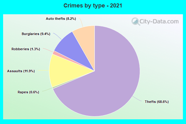 Crimes by type - 2021