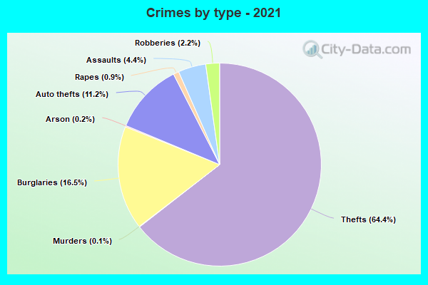 Crimes by type - 2021