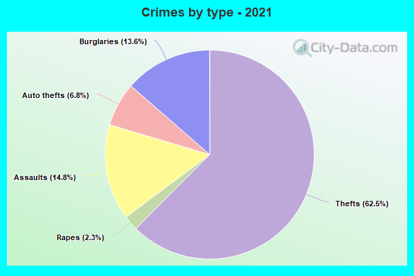 Crimes by type - 2021