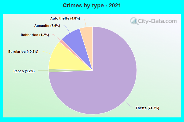 Crimes by type - 2021