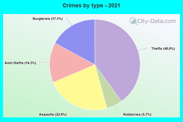 Crimes by type - 2021