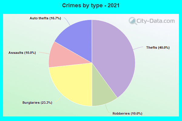 Crimes by type - 2021