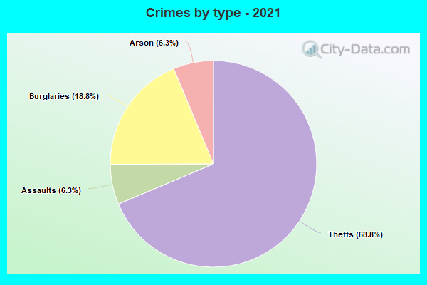 Crimes by type - 2021