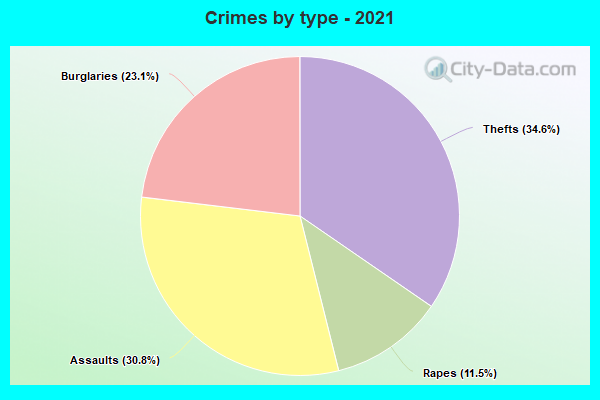 Crimes by type - 2021