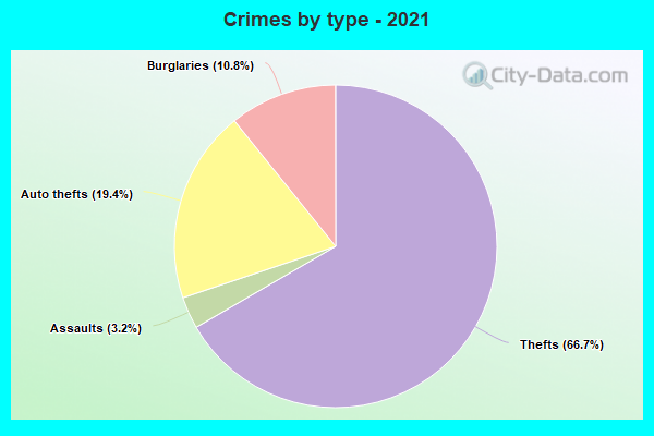 Crimes by type - 2021