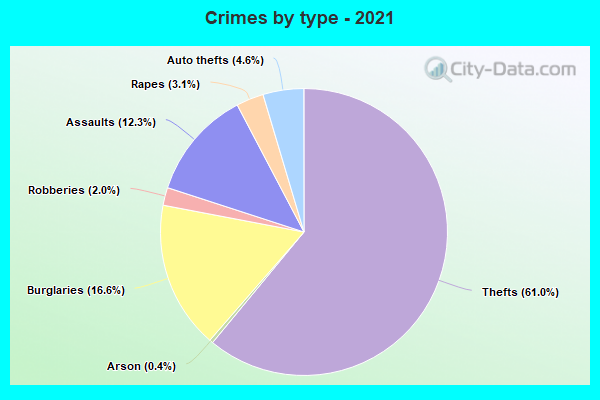 Crimes by type - 2021