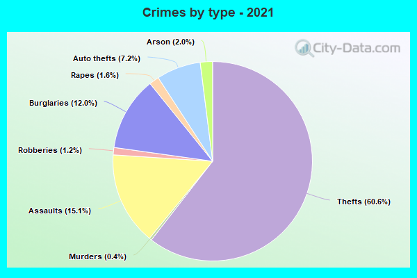 Crimes by type - 2021