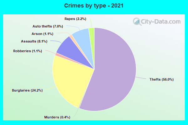 Crimes by type - 2021