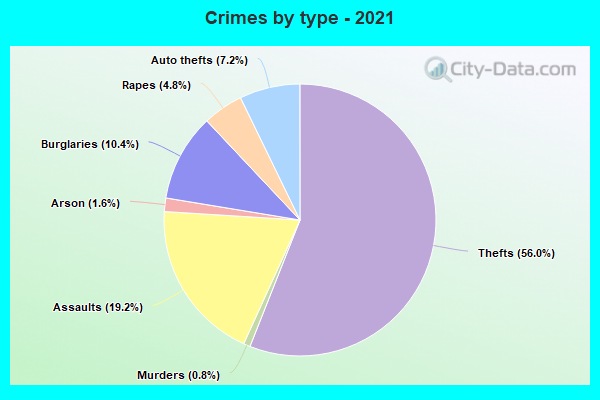 Crimes by type - 2021