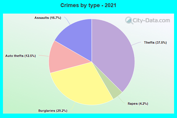 Crimes by type - 2021