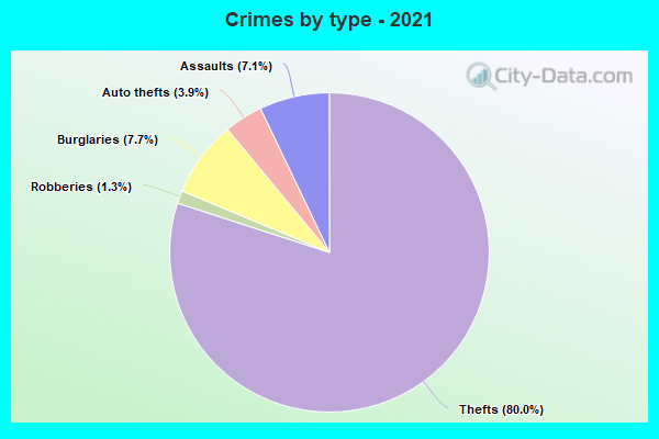 Crimes by type - 2021