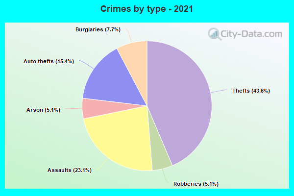 Crimes by type - 2021