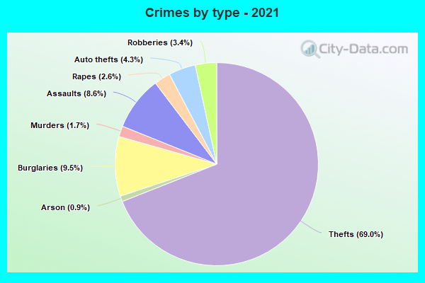 Crimes by type - 2021