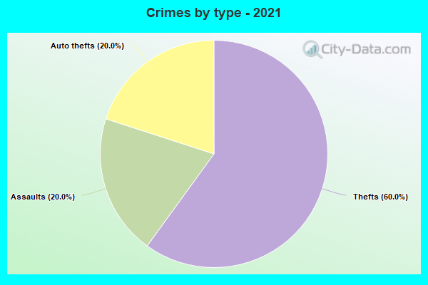 Crimes by type - 2021