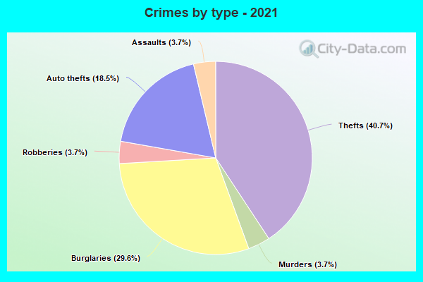 Crimes by type - 2021