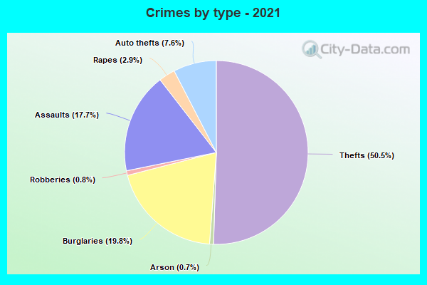 Crimes by type - 2021