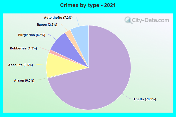 Crimes by type - 2021