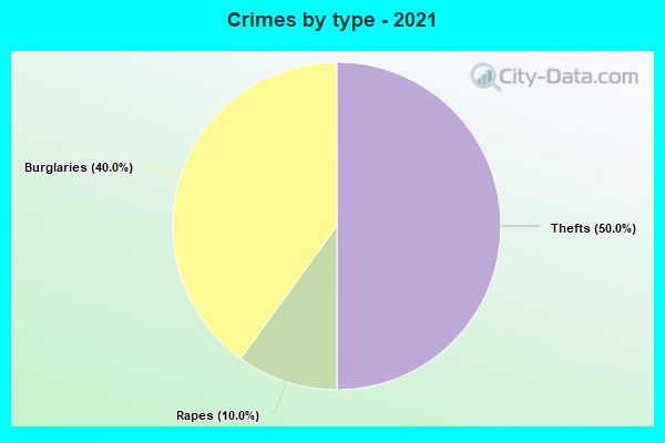 Crimes by type - 2021