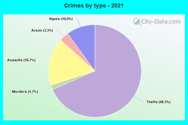 Crimes by type - 2021