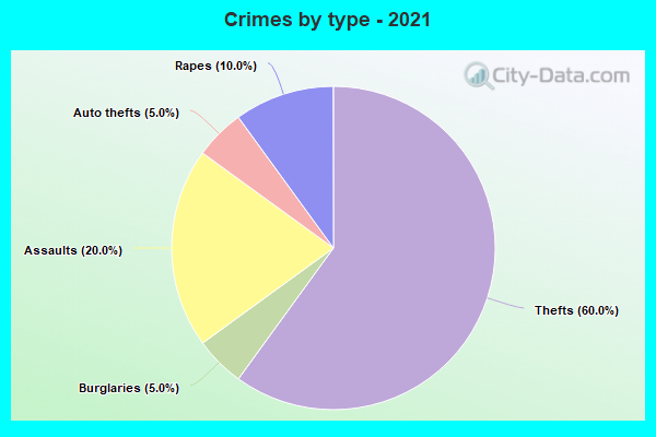 Crimes by type - 2021