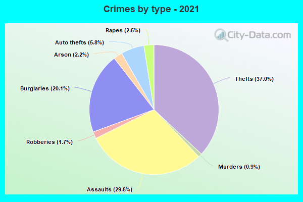 Crimes by type - 2021