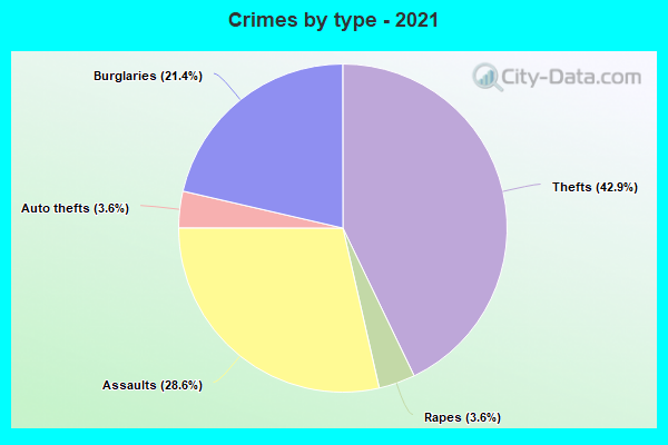 Crimes by type - 2021