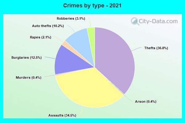 Crimes by type - 2021